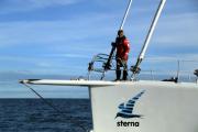 “Sterna” seleccionada por el S.I.T.C. como empresa más innovadora “Sterna” seleccionada por el S.I.T.C. como empresa más innovadora