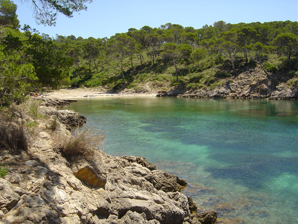 Cala del Pinar (ses Caletes) Alcudia Cala del Pinar (ses Caletes) Alcudia