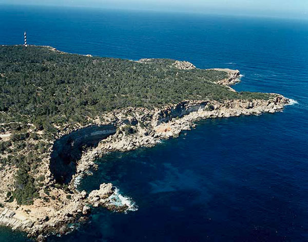 Punta del Cat, al lado de Muscater Punta del Cat, al lado de Muscater