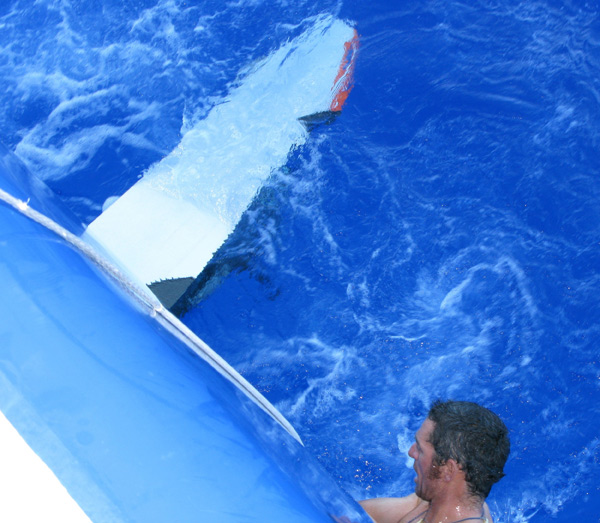 Daños en la orza de deriva del Telefónica Azul