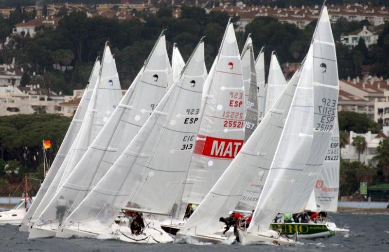 Fotos de la flota Platú 25 en Marbella Fotos de la flota Platú 25 en Marbella
