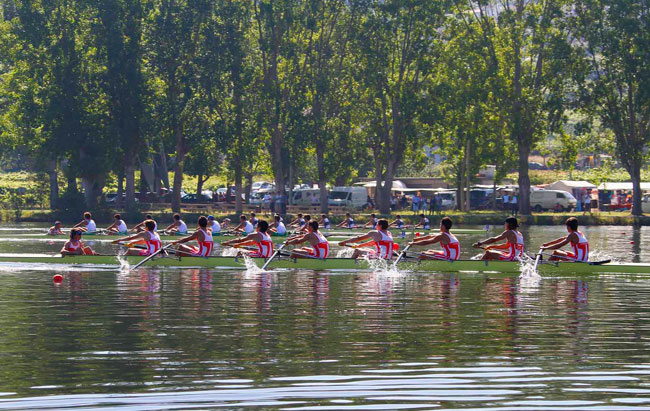 Campeonato de España de remo Olímpico. Castrelo de Miño 2012