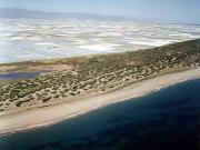 Playa de Almerimar / San Miguel Levante y Playa de Cerillos (El Ejido) 