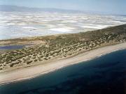 Playa de Almerimar / San Miguel Levante y Playa de Cerillos (El Ejido) 