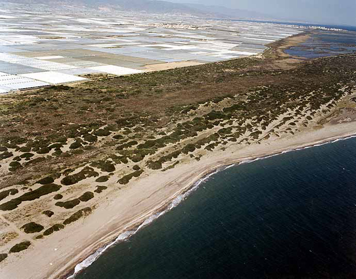 Playa de Almerimar / San Miguel Levante y Playa de Cerillos (El Ejido) Playa de Almerimar / San Miguel Levante y Playa de Cerillos (El Ejido)