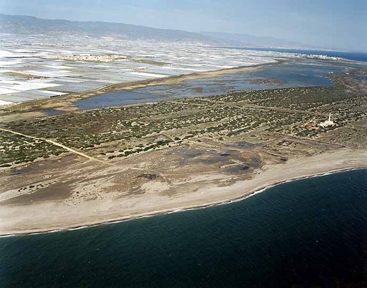 Playa de Almerimar / San Miguel Levante y Playa de Cerillos (El Ejido) Playa de Almerimar / San Miguel Levante y Playa de Cerillos (El Ejido)