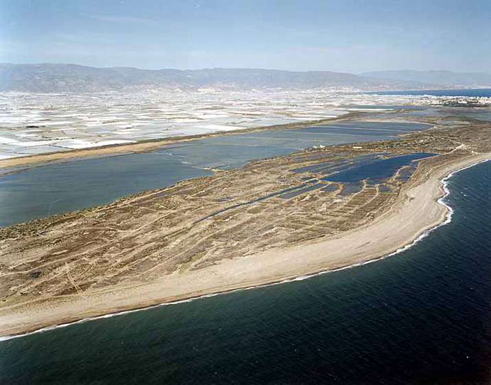 Playa de Almerimar / San Miguel Levante y Playa de Cerillos (El Ejido) Playa de Almerimar / San Miguel Levante y Playa de Cerillos (El Ejido)