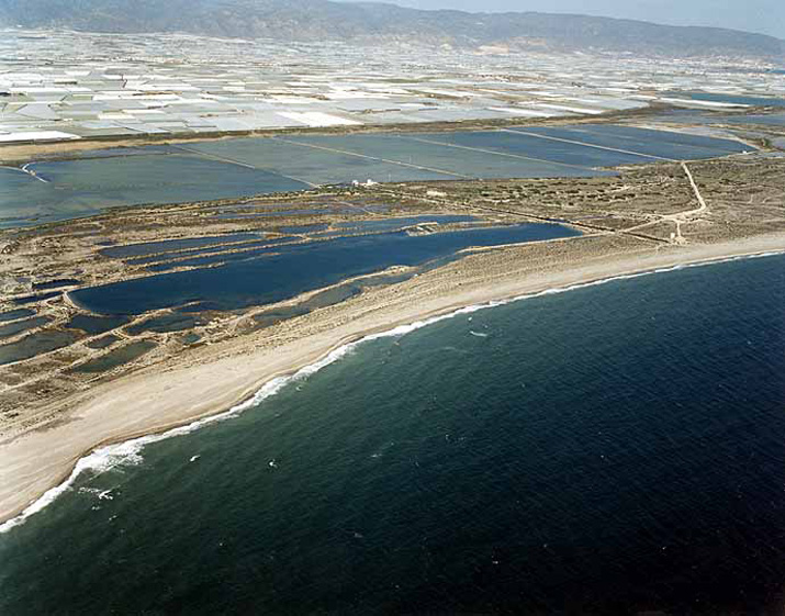 Playa de Almerimar / San Miguel Levante y Playa de Cerillos (El Ejido) Playa de Almerimar / San Miguel Levante y Playa de Cerillos (El Ejido)