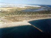 Playa de Almerimar / San Miguel Levante y Playa de Cerillos (El Ejido) 