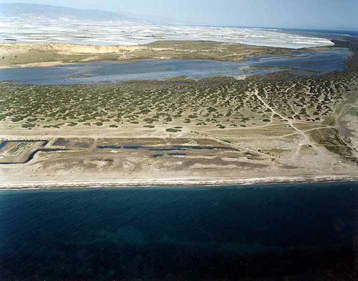 Playa de Almerimar / San Miguel Levante y Playa de Cerillos (El Ejido) Playa de Almerimar / San Miguel Levante y Playa de Cerillos (El Ejido)