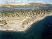 Playa de Almerimar / San Miguel Levante y Playa de Cerillos (El Ejido) 