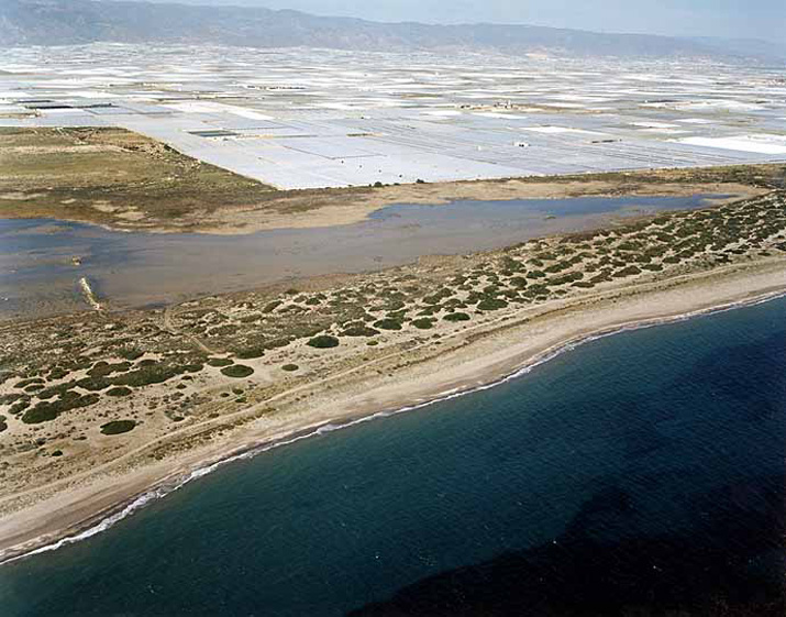 Playa de Almerimar / San Miguel Levante y Playa de Cerillos (El Ejido) Playa de Almerimar / San Miguel Levante y Playa de Cerillos (El Ejido)