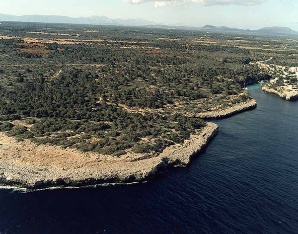 Cala Beltrán y Cala Pi