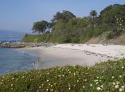 Playa de la Fuente