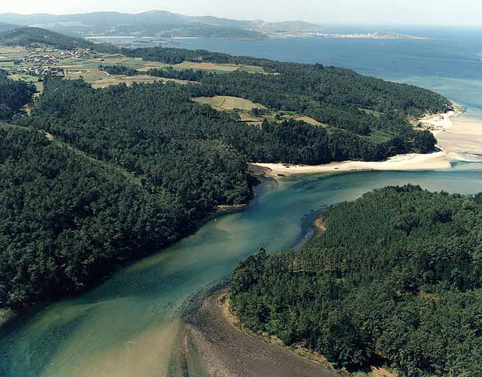 Ariño