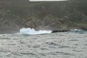 La mar trabajando en Os Netos