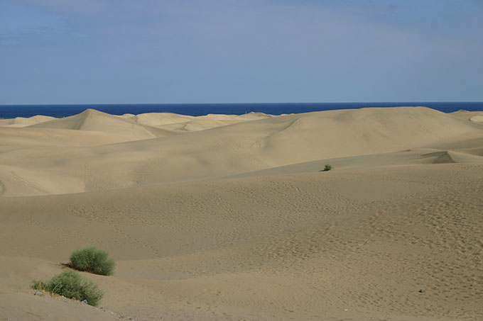 Playa del Inglés. Maspalomas Playa del Inglés. Maspalomas