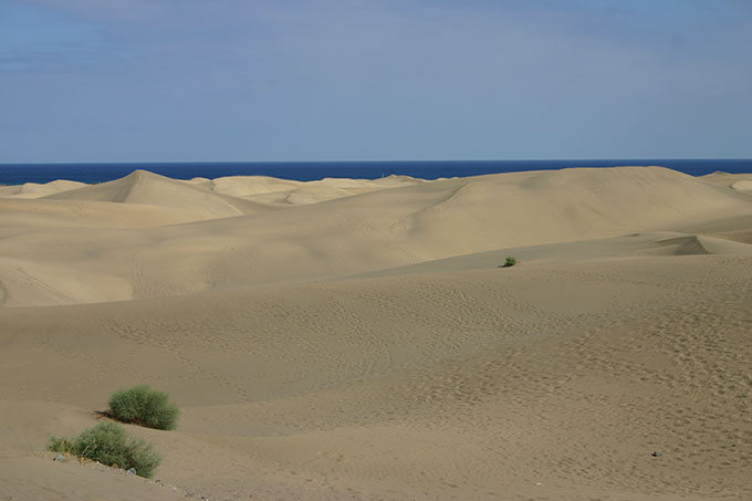 Playa del Inglés. Maspalomas