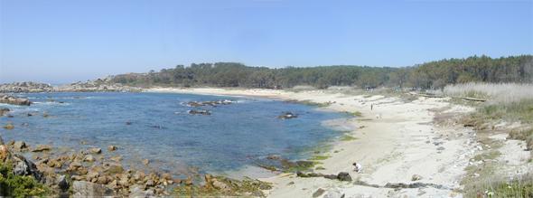 Playa de Caneliñas 