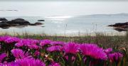 Praia de Mallón (Illa de Arousa)