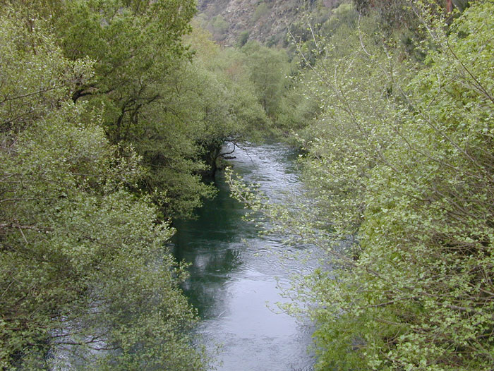 Coto de Salmeán