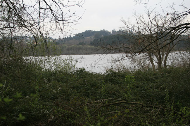 Embalse de Cecebre
