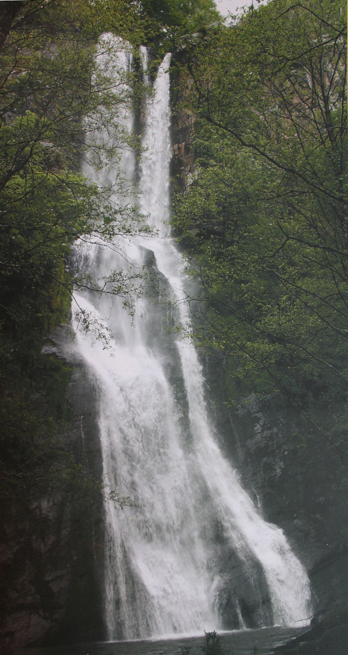 Seimeira de Vilagoncede Seimeira de Vilagoncede