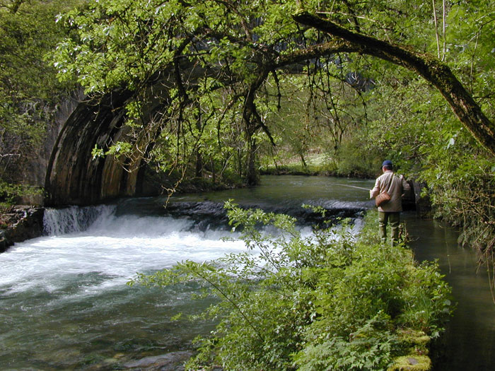 Bajo el Puente da Ferrería