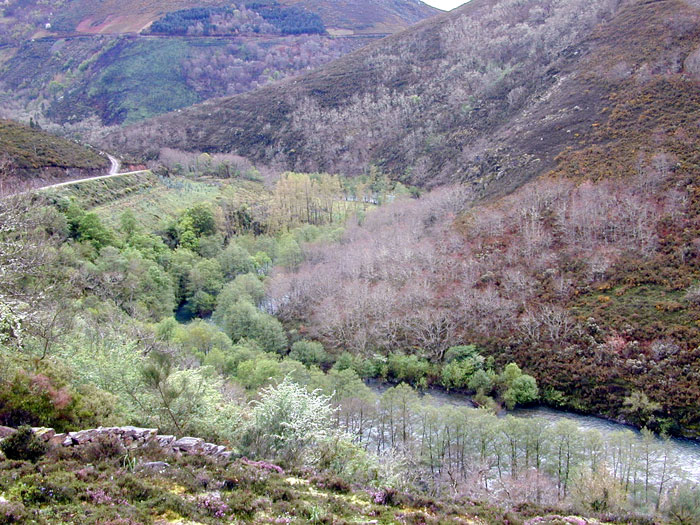 Coto compartido con Asturias
