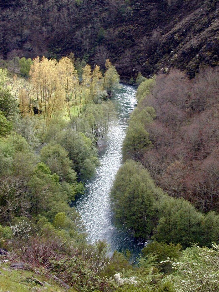 Coto compartido con Asturias