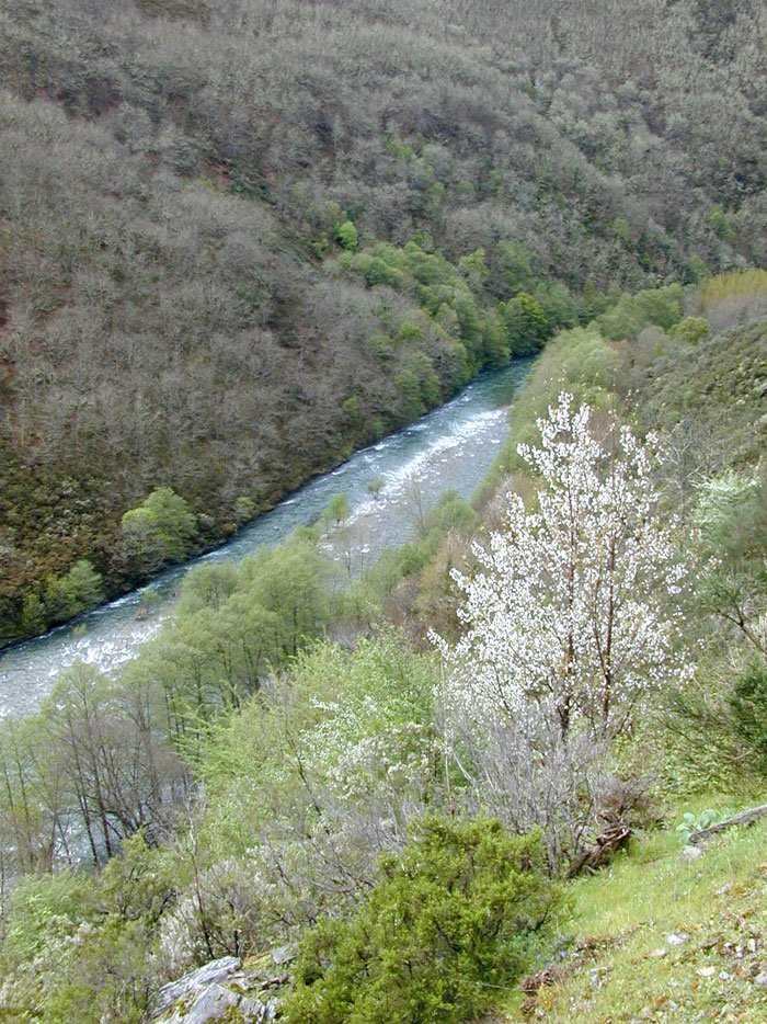 Coto compartido con Asturias