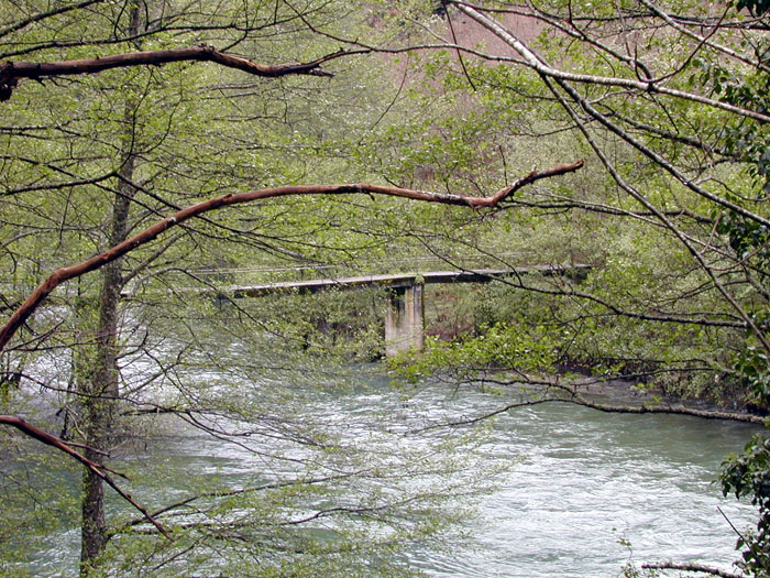 Pasarelas en el río