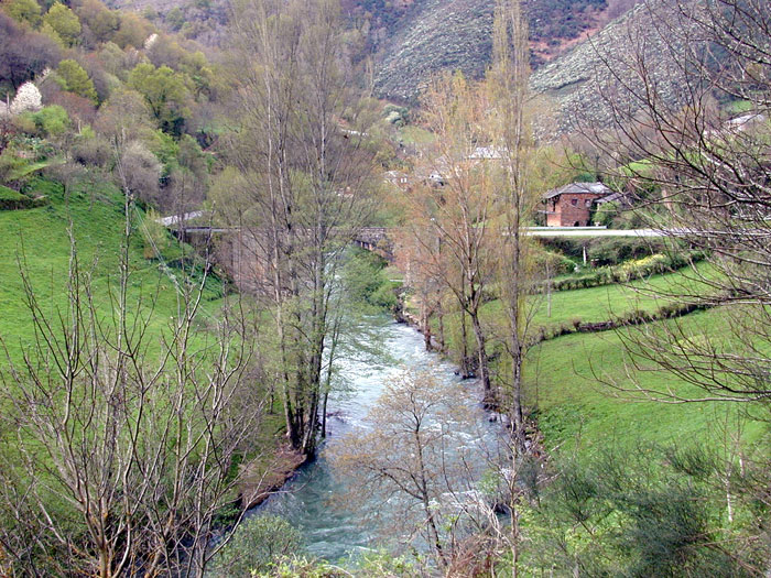 Pontes de Gatín