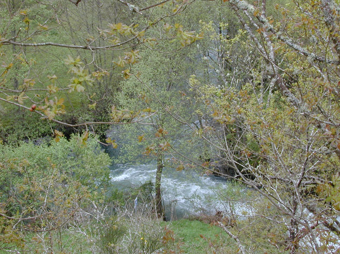 Río Navia