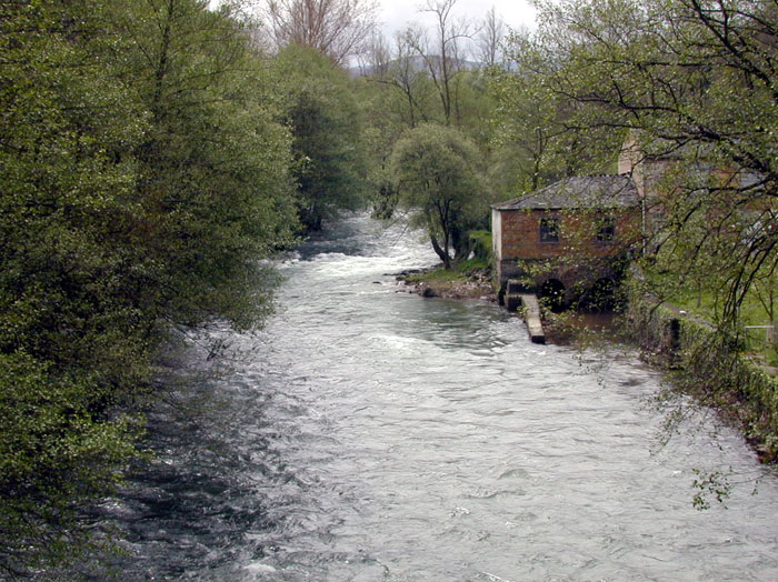 San Martiño