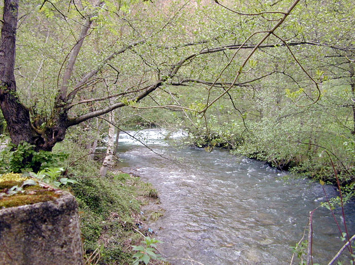 Tramo del Navia. Comienzo el Coto de Cervantes