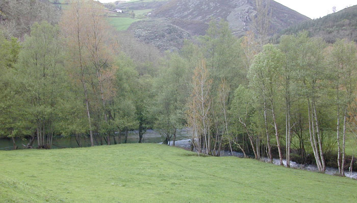 Tramo del Río y afluente