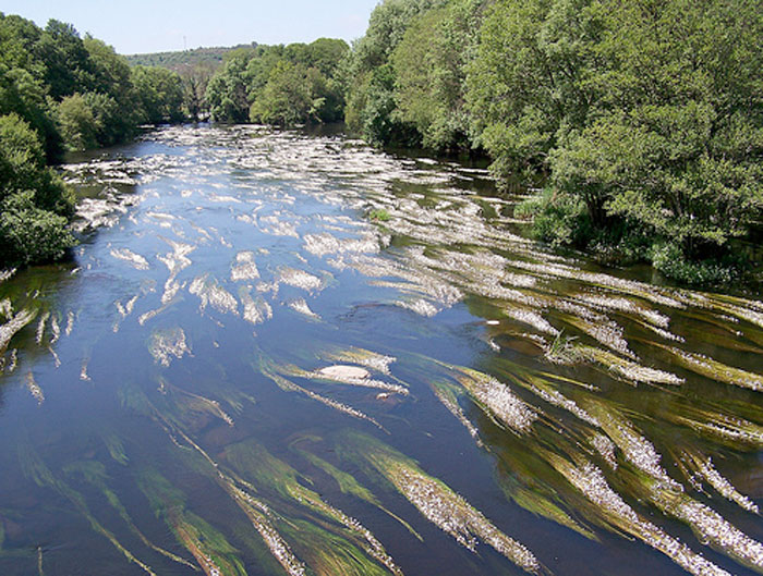 Río Neira