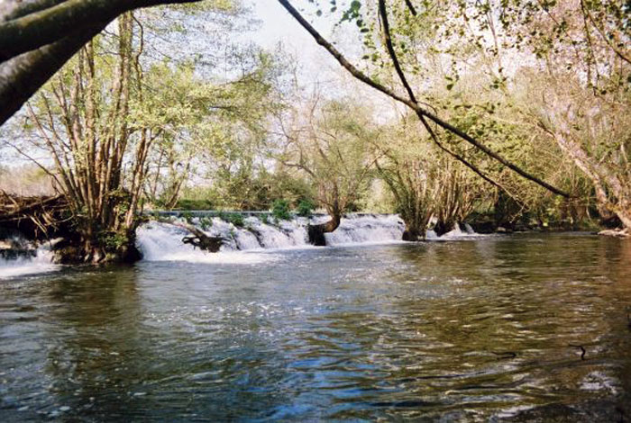 Río Neira