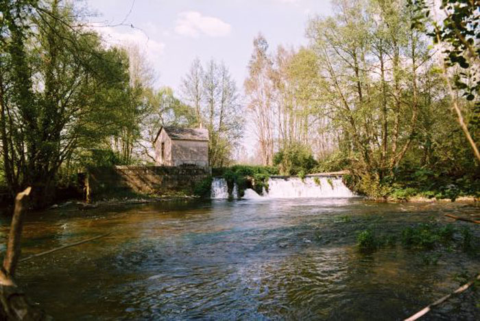 Río Neira