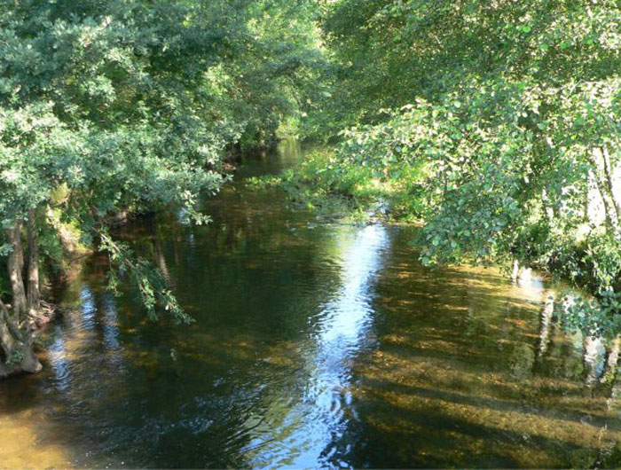 Río Neira