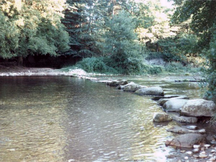 Río Neira