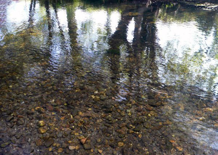Río Neira