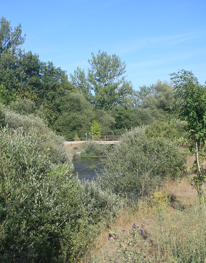 El primer puente sobre el Ebro