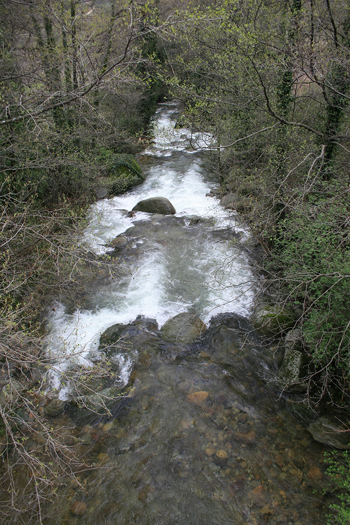 Bajando de Tornavacas