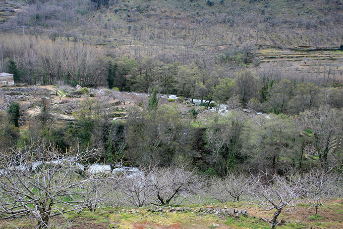 Creciendo con aguas de montaña