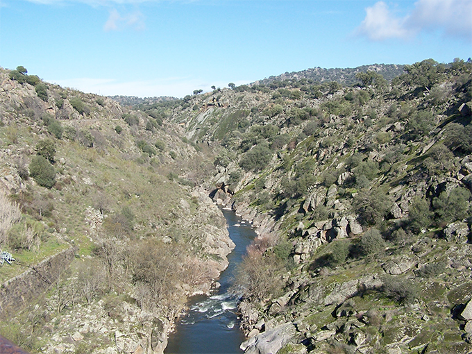 Formando el valle de las cerezas