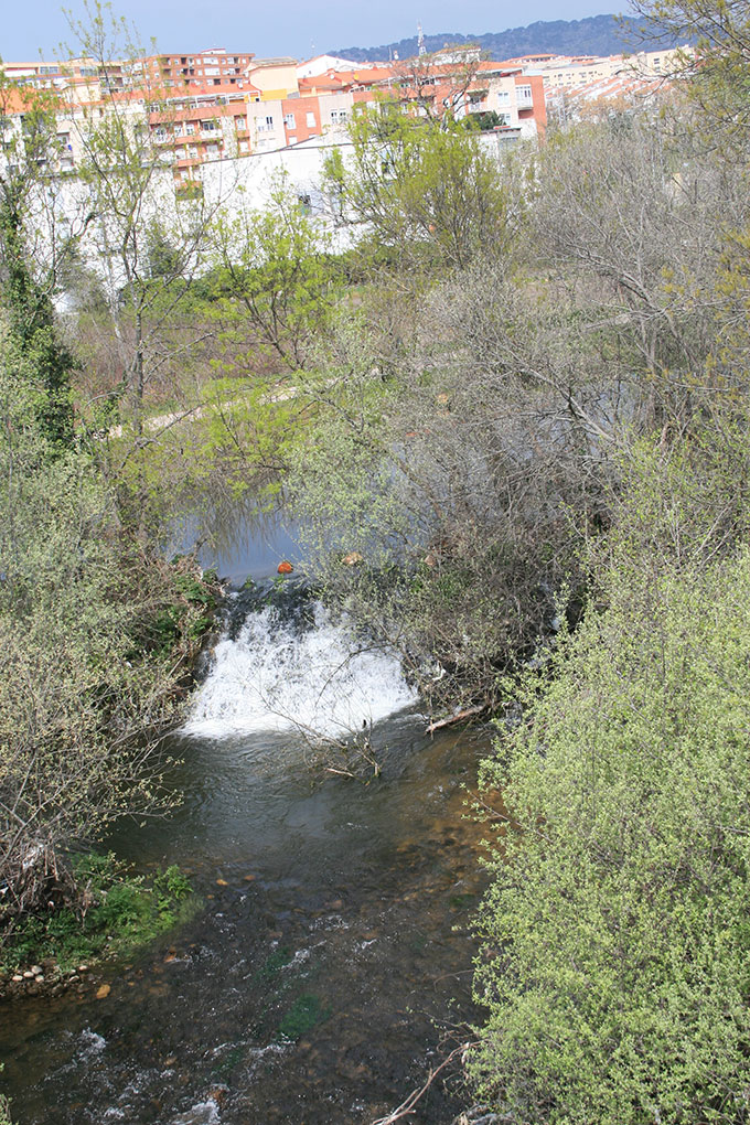 Río Jerte a su paso por Plasencia