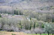 Valle del Jerte