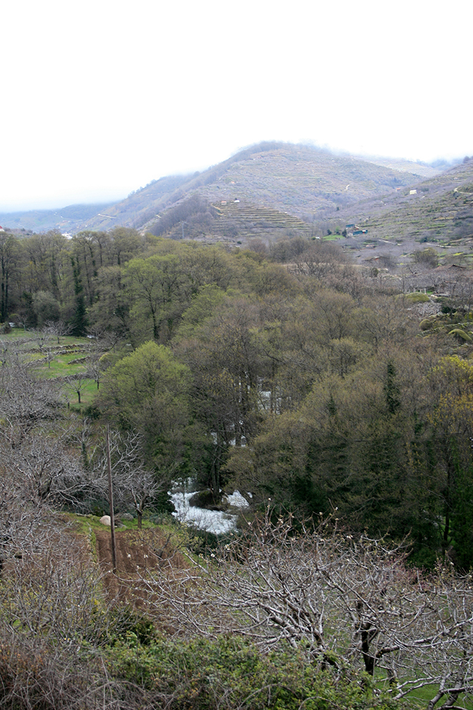 Valle del Jerte